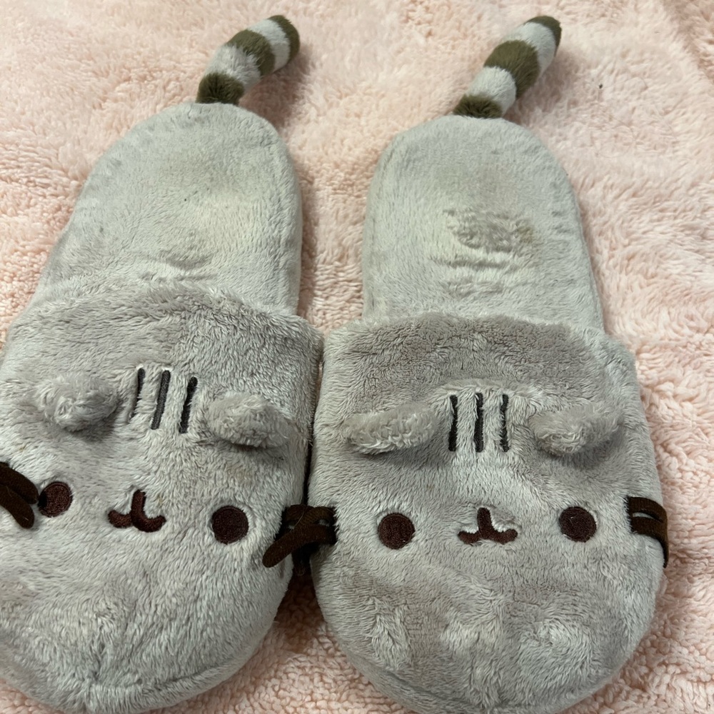 Pusheen Slippers